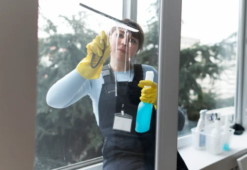 Nettoyage de vitres intérieures et extérieures à Merlevenez